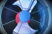 Feature Image 3